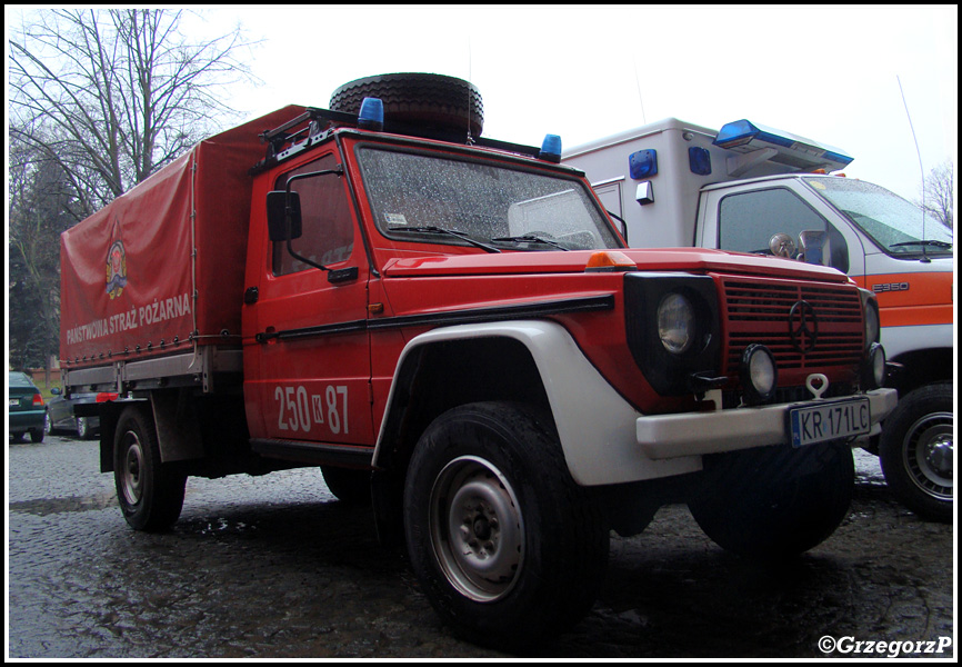 250[K]87 - SLKw Mercedes Benz 290 GD - SA PSP KrakÃ³w