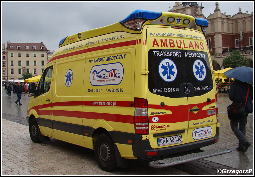 Mercedes Benz Sprinter 315 CDI/Ambulanzmobile - Trans-Med KrakÃ³w