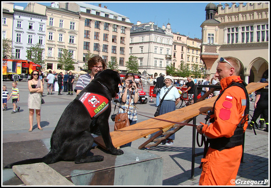 21.05.2012 - Kraków, Rynek Główny - Wojewódzkie obchody Dnia Strażaka