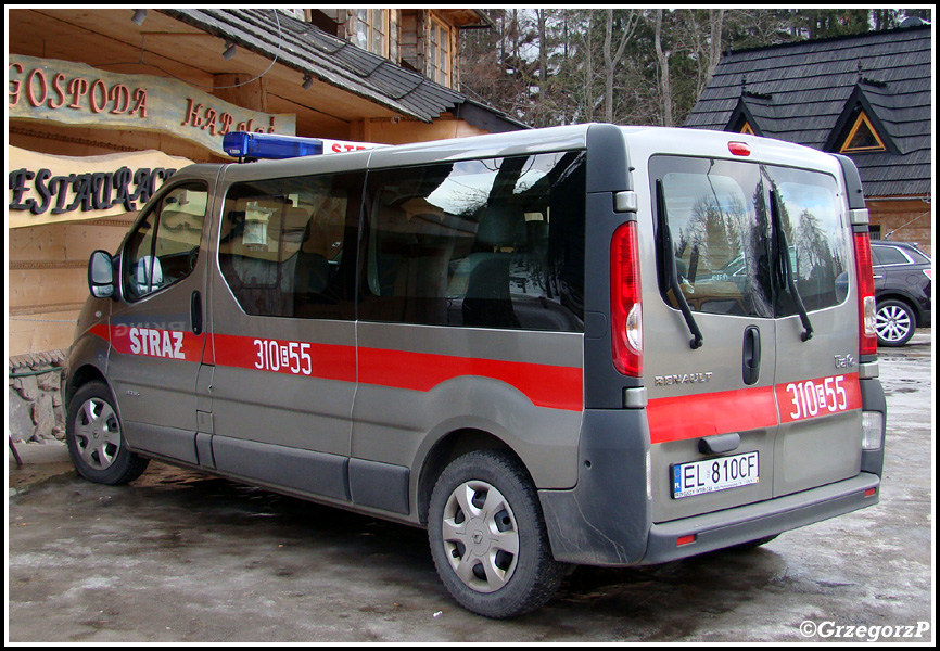 310[E]55 - SLBus Renault Trafic Passenger - JRG 10 ÅÃ³dÅº