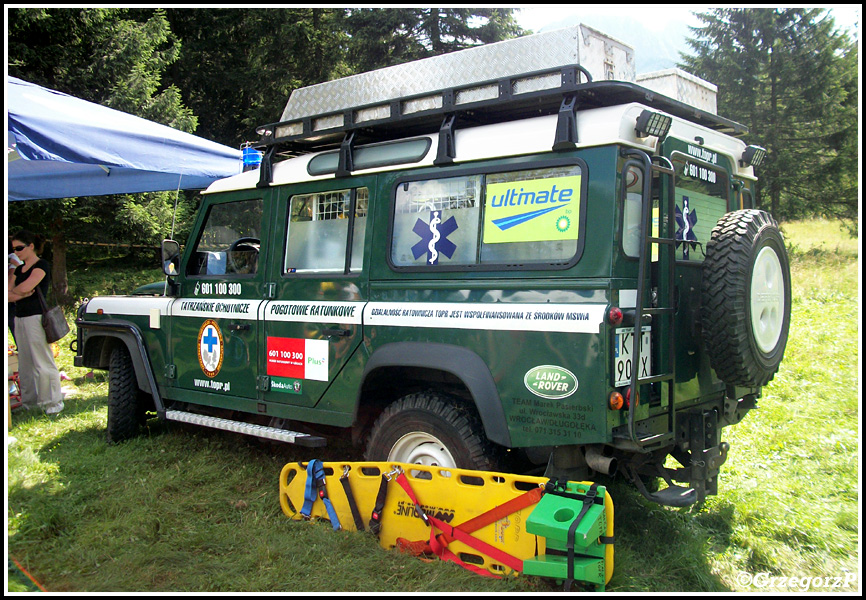 Land Rover Defender 110/TEAM - TOPR