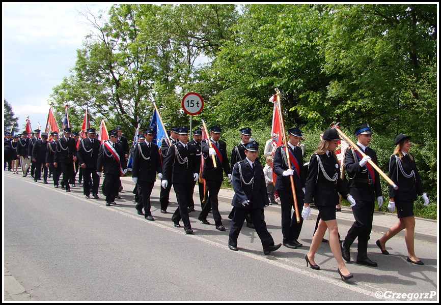 2.06.2013 - IX Samochodowa Pielgrzymka StraÅ¼akÃ³w z KrzeptÃ³wek do LudÅºmierza