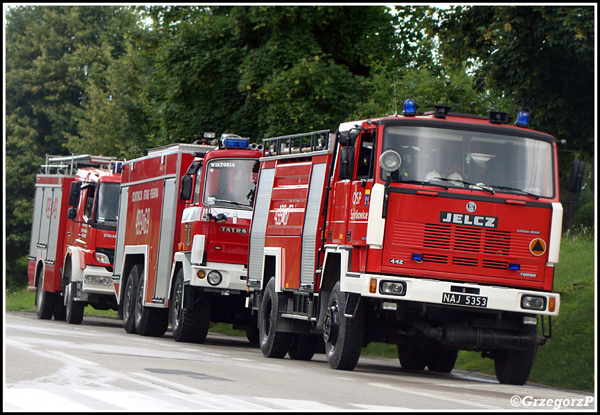 14.07.2013 - Raba WyÅ¼na, remiza - Manewry KSRG