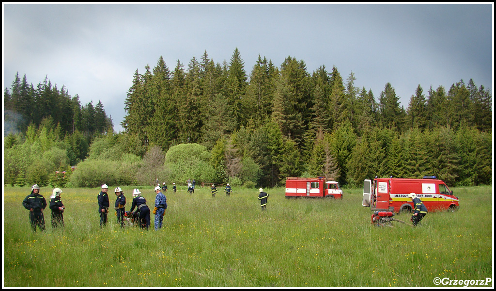 24.05.2014 - TrstenÃ¡ - MiÄ™dzynarodowe manewry taktyczno- bojowe