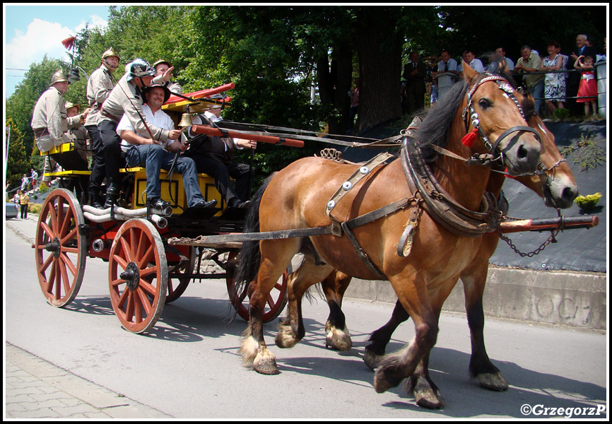 29.06.2014 - Pcim - Jubileusz 100-lecia Ochotniczej Straży Pożarnej w Pcimiu