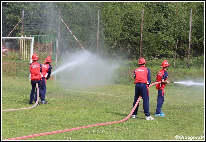 19.07.2015 - Tenczyn, stadion LKS ''TopÃ³r'' - Zawody sportowo- poÅ¼arnicze gminy LubieÅ„