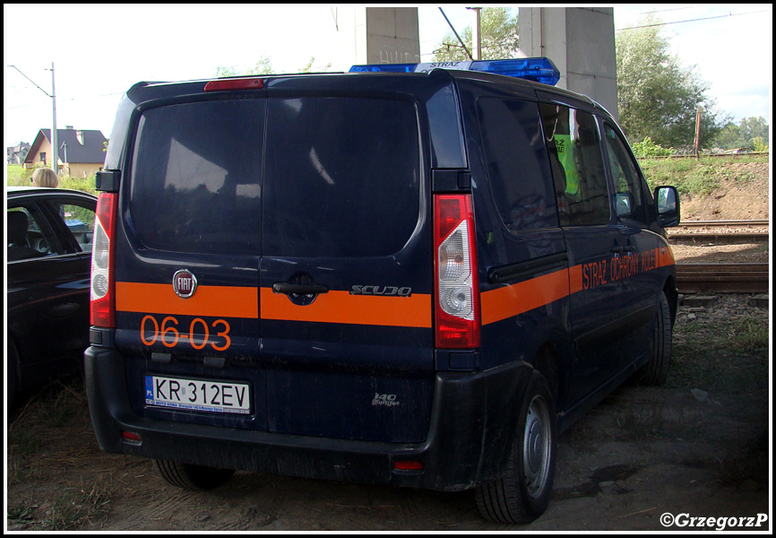 06-03 - Fiat Scudo - KR SOK Kraków