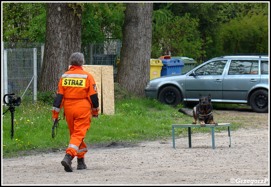 3.05.2016 - Skawina, Park Miejski - Pokaz Grupy Poszukiwawczo- Ratowniczej OSP Goszcza