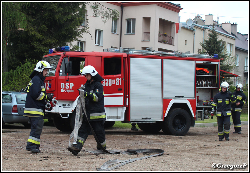 3.05.2017 - Skawina, Park Miejski - Pokaz ratownictwa technicznego