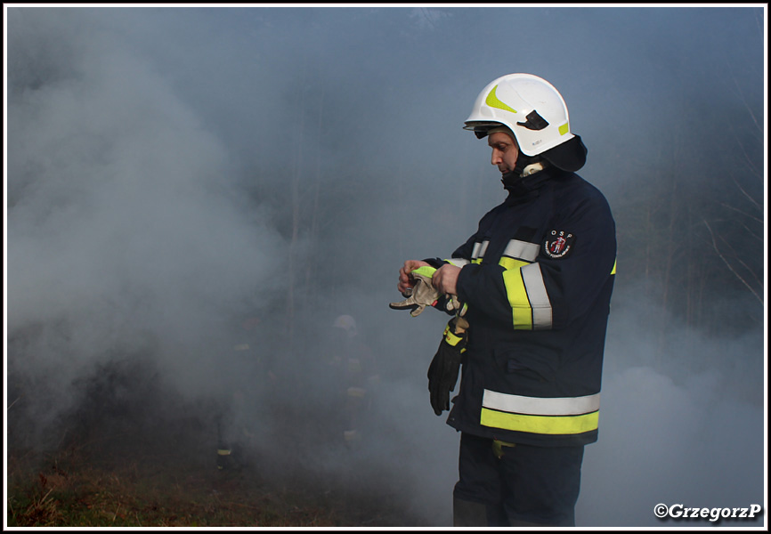 12.11.2017 - Rokiciny PodhalaÅ„skie, GawlikÃ³wka - Gminne manewry taktyczno- bojowe