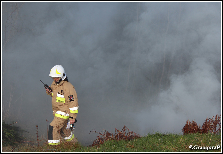 12.11.2017 - Rokiciny PodhalaÅ„skie, GawlikÃ³wka - Gminne manewry taktyczno- bojowe