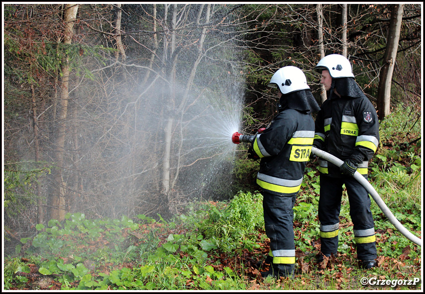 29.10.2018 - Leśnictwo Kiczora, Rzeki/Szczawa - Manewry KSRG