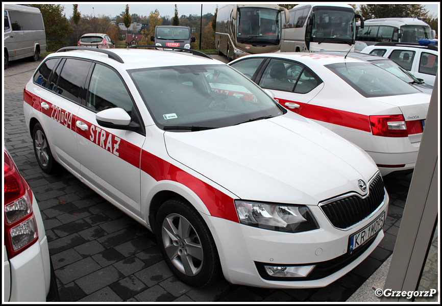 220[K]94 - SLOp Škoda Octavia Kombi - KW PSP Kraków