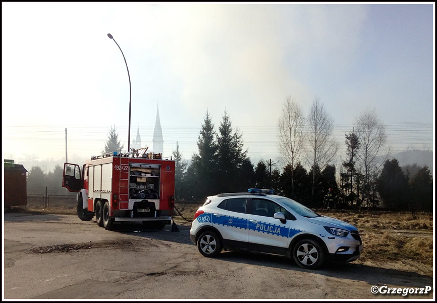 17.03.2020 - Rabka-Zdrój, ul Piłsudskiego - Pożar traw