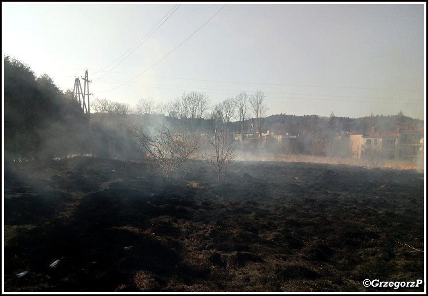 17.03.2020 - Rabka-Zdrój, ul Piłsudskiego - Pożar traw