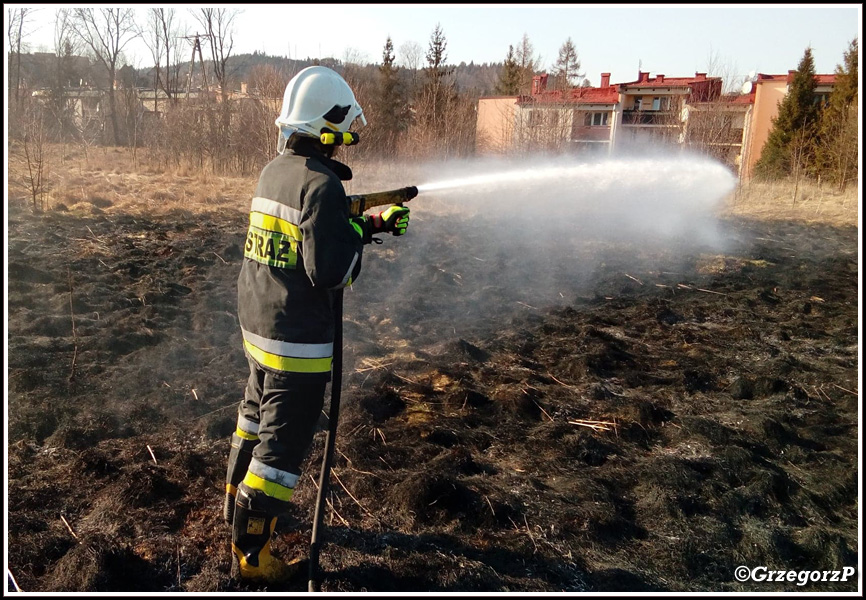 17.03.2020 - Rabka-Zdrój, ul Piłsudskiego - Pożar traw