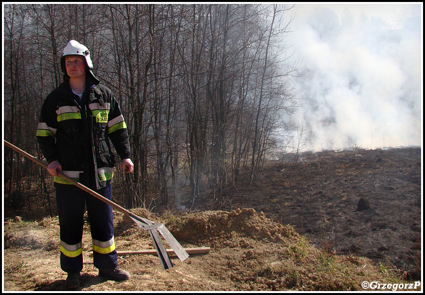 13.03.2014 - Skomielna Biała - Pożar suchej trawy