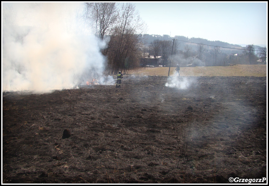 13.03.2014 - Skomielna BiaÅ‚a - PoÅ¼ar suchej trawy