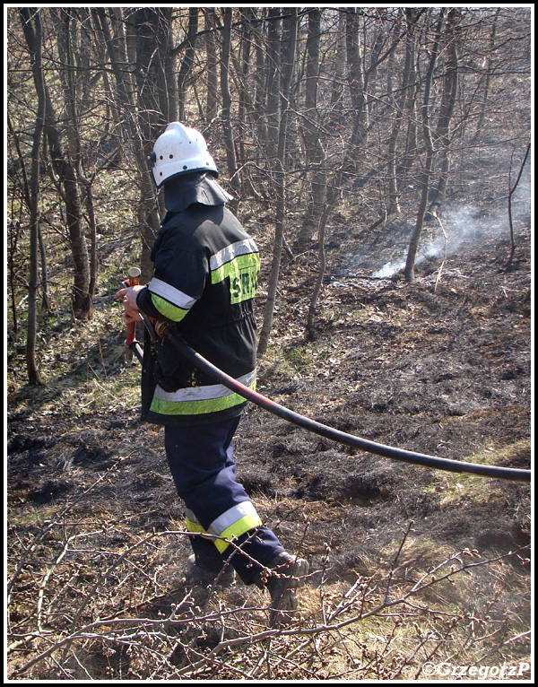 13.03.2014 - Skomielna BiaÅ‚a - PoÅ¼ar suchej trawy