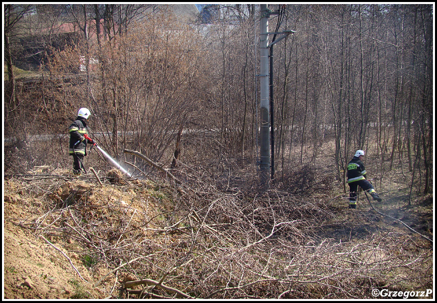 13.03.2014 - Skomielna Biała - Pożar suchej trawy