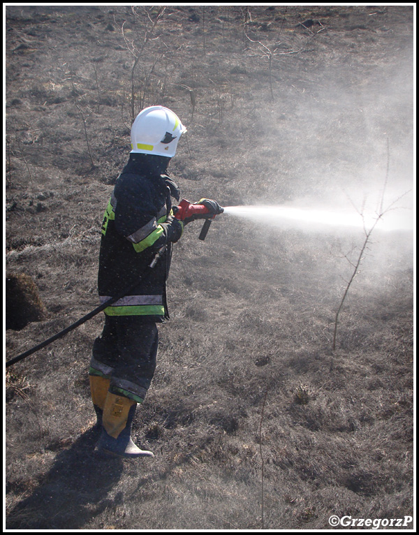 13.03.2014 - Skomielna BiaÅ‚a - PoÅ¼ar suchej trawy