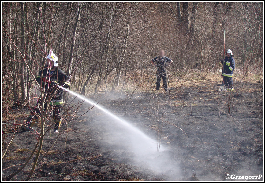 13.03.2014 - Skomielna Biała - Pożar suchej trawy