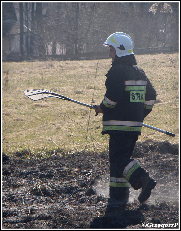 13.03.2014 - Skomielna BiaÅ‚a - PoÅ¼ar suchej trawy