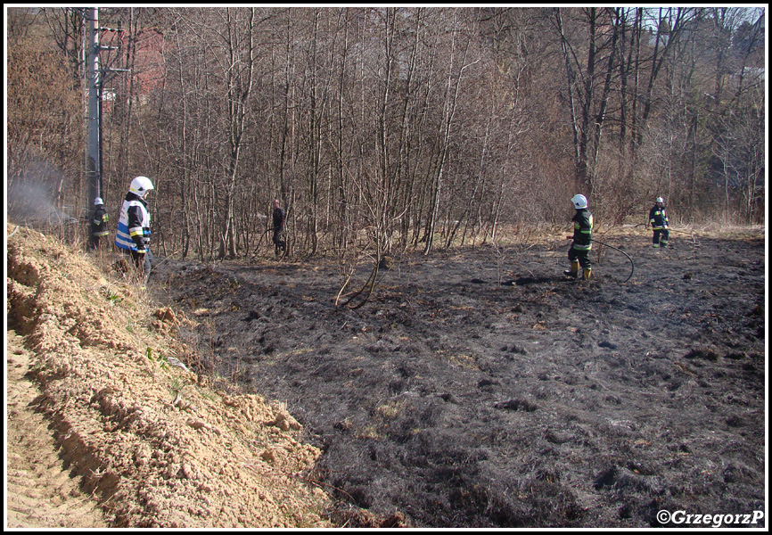 13.03.2014 - Skomielna Biała - Pożar suchej trawy