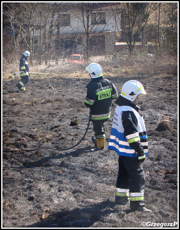 13.03.2014 - Skomielna BiaÅ‚a - PoÅ¼ar suchej trawy