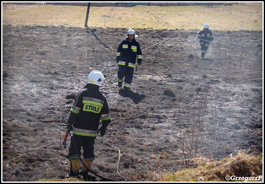 13.03.2014 - Skomielna BiaÅ‚a - PoÅ¼ar suchej trawy