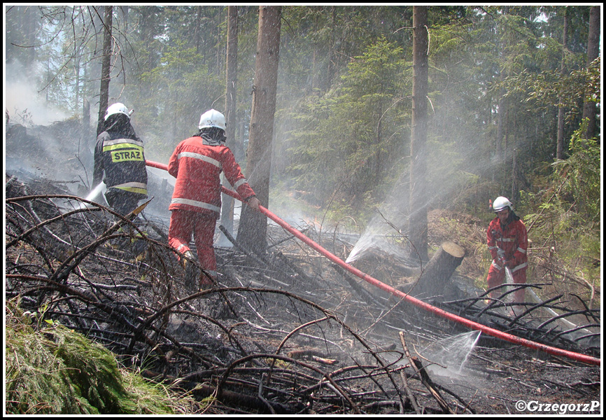 10.06.2014 - Zakopane, Do MaÅ‚ej ÅÄ…ki - PoÅ¼ar poszycia leÅ›nego
