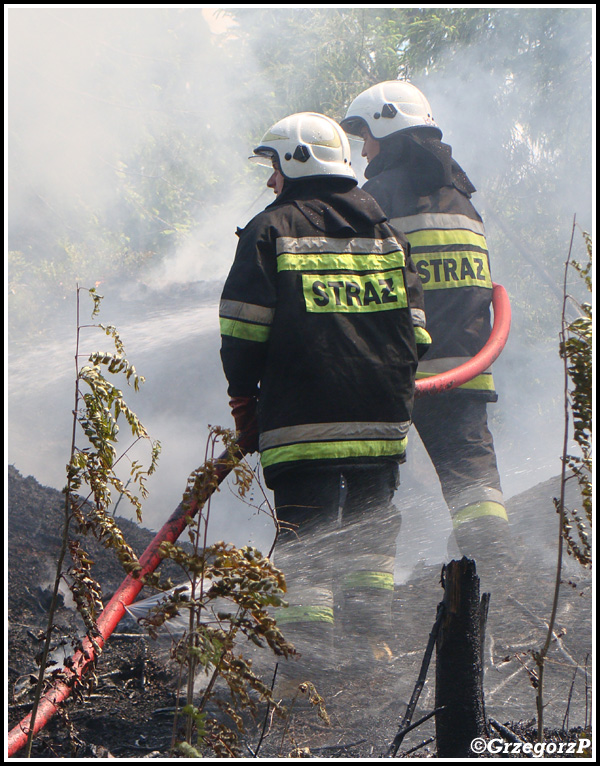 10.06.2014 - Zakopane, Do Małej Łąki - Pożar poszycia leśnego