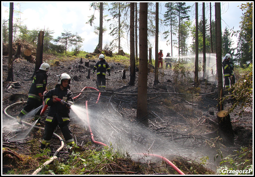 10.06.2014 - Zakopane, Do Małej Łąki - Pożar poszycia leśnego