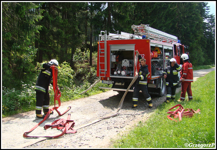 10.06.2014 - Zakopane, Do Małej Łąki - Pożar poszycia leśnego