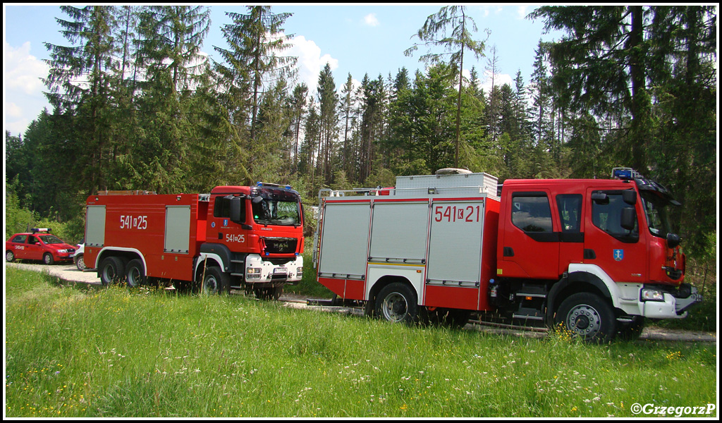 10.06.2014 - Zakopane, Do Małej Łąki - Pożar poszycia leśnego