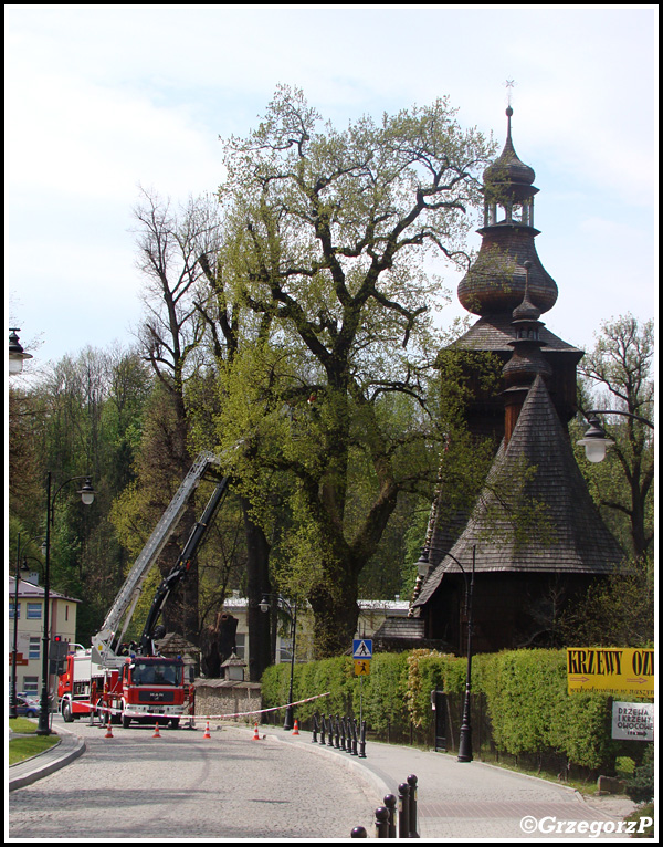 7.05.2014 - Rabka, ul. Orkana - Wycinanie konarów przy zabytkowym kościele- muzeum im. Orkana