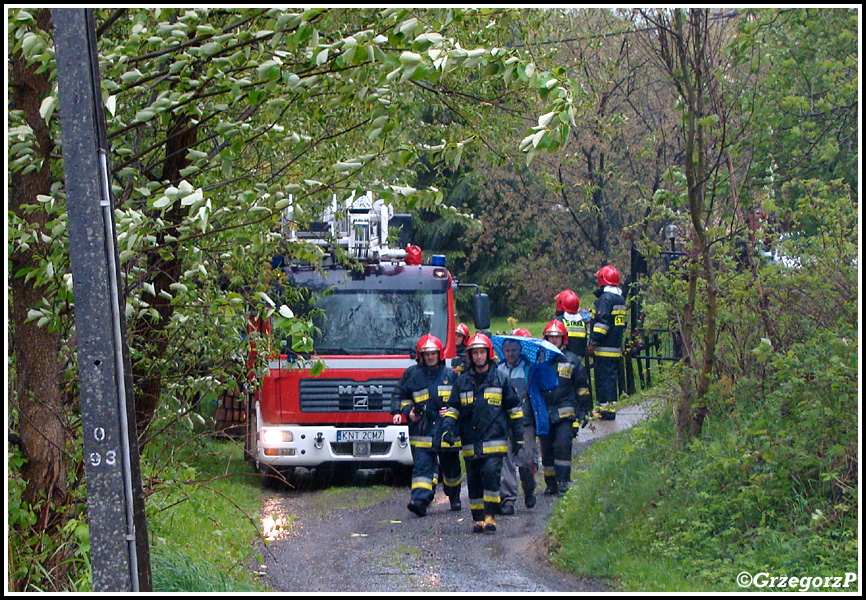 15.05.2014 - Rdzawka - Drzewo na słupie energetycznym