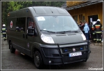 Fiat Ducato/AMZ - WOSzK Gronik