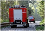 28.09.2011 - KalatÃ³wki, klasztor Albertynek - Manewry KSRG powiatu tatrzaÅ„skiego