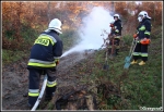 6.11.2011 - Raba WyÅ¼na - MiÄ™dzygminne Ä‡wiczenia taktyczno- bojowe