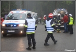 5.06.2013 - KoÅ›cielisko - Manewry KSRG