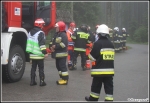 5.06.2013 - KoÅ›cielisko - Manewry KSRG