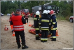 9.09.2015 - KryspinÃ³w, Zalew na Piaskach - Manewry ''Samolot 2015''