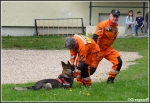 3.05.2016 - Skawina, Park Miejski - Pokaz Grupy Poszukiwawczo- Ratowniczej OSP Goszcza