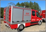 477[K]21 - GLBM 0,2/0,5 Ford Transit 155 T350/Frank-Cars - OSP Skomielna BiaÅ‚a*