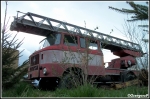 SD 30 Ifa W50L/Luckenwalde