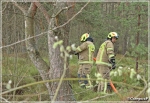 26.04.2022 - Nowy Targ, BÃ³r na Czerwonem - Powiatowe manewry KSRG