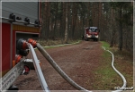 26.04.2022 - Nowy Targ, BÃ³r na Czerwonem - Powiatowe manewry KSRG