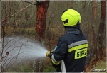 26.04.2022 - Nowy Targ, Bór na Czerwonem - Powiatowe manewry KSRG