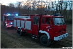 31.03.2010 - Raba WyÅ¼na - PoÅ¼ar traw